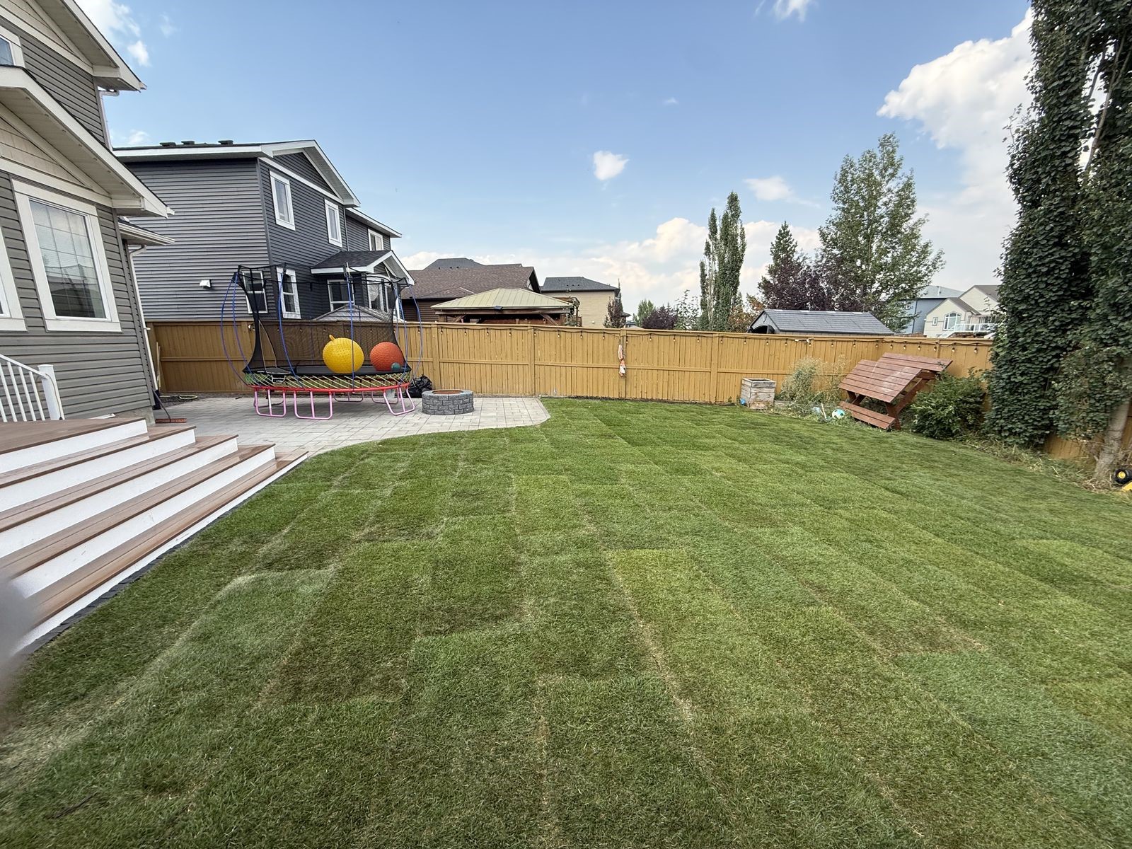 Freshly installed sod lawn with paver patio and deck in an Airdrie, Alberta backyard